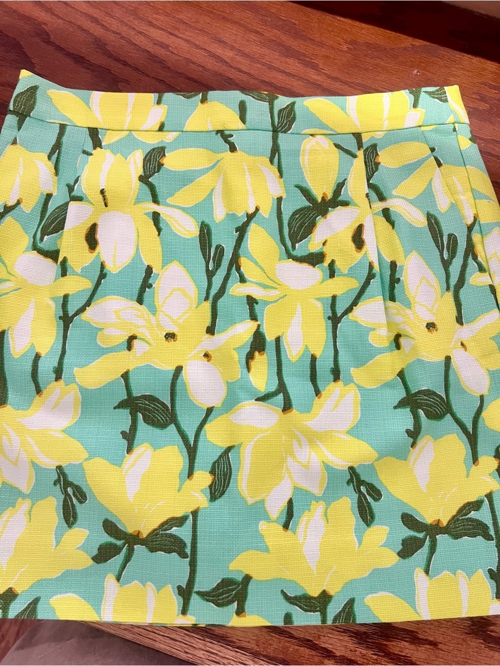 J Crew Skirt NWT